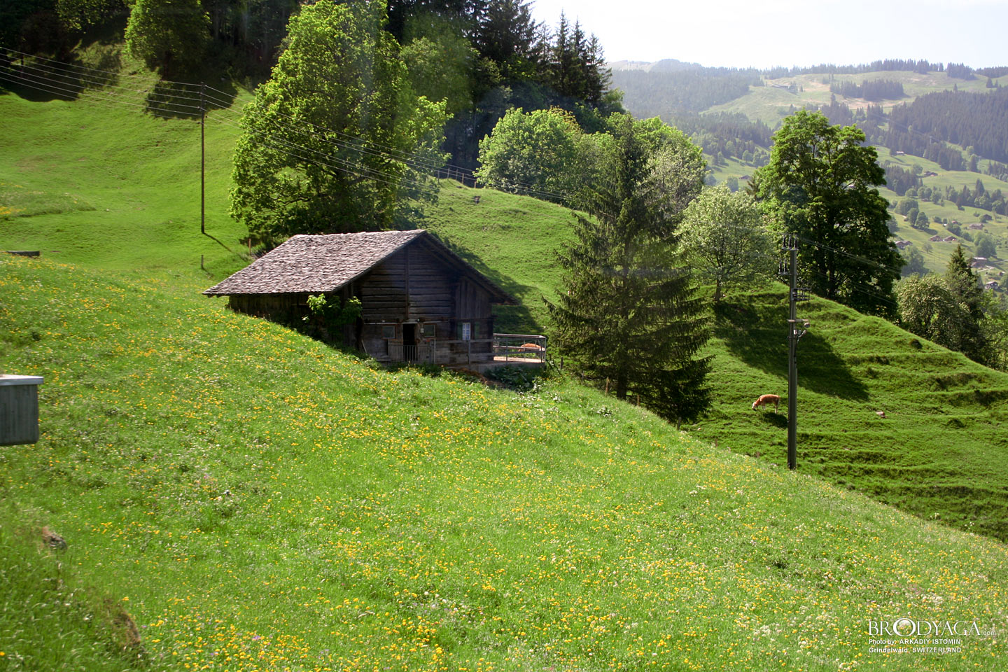 Grindelwald